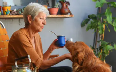 Reward Your Pet With the Best Treat of All